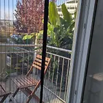 City-apartments * Graz