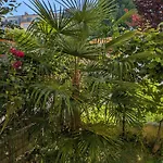 City-apartments Appartement Graz