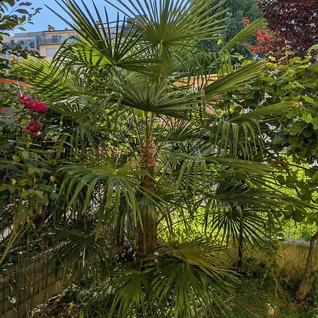 City-apartments - Friendly Reception & Free Bikes Apartmán Štýrský Hradec