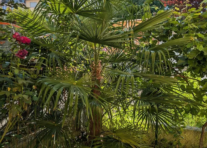 City-apartments - Friendly Reception & Free Bikes Апартаменти Грац